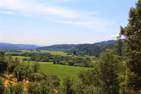 The Colorful Cardinal : Aerial Views at Sterling Vineyards