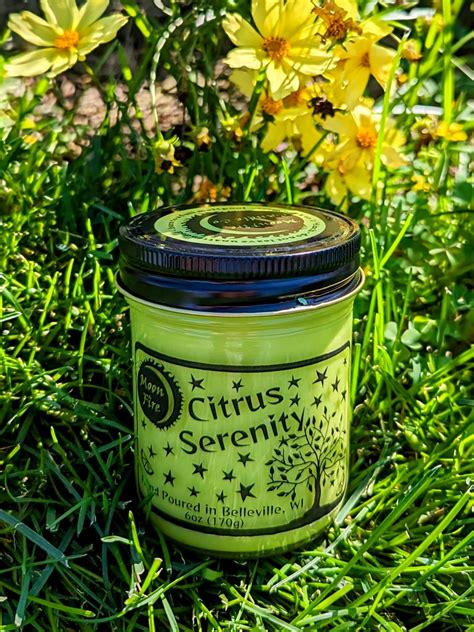 Citrus Serenity Candle Moonfire Candle Co