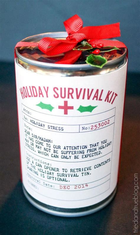 Holiday Survival Kit Easy Gift Such A Cute Way To Gift Homemade