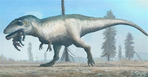 Paleontology Aficionado On Instagram Snacking Giganotosaurus