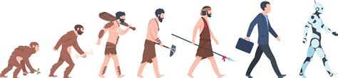 Biology Human Evolution Stages Evolutionary Vector Image