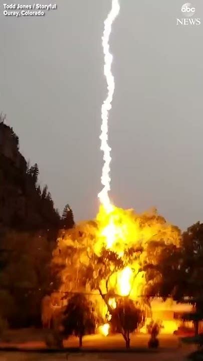 Lightning Bolt Strikes Tree In Colorado Youtube