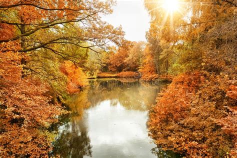 The Tiergarten in Berlin, Germany Stock Photo - Image of forest, park: 103762522