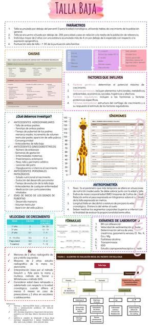 Endocrinología uDocz