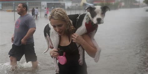 How You Can Help Hurricane Harvey Victims Fortune