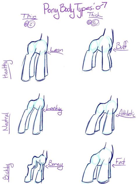 Pony Reference Sheet: MALE BODY TYPES by verba-feathersmith Drawing ...