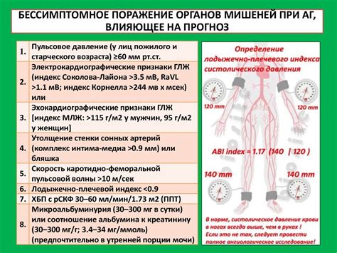 Исследование артерий и вен. Инструментальные методы. Определение ...