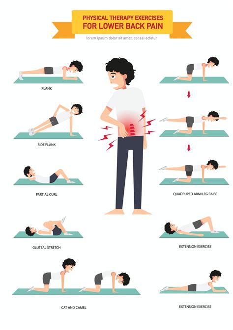 Cartilha Coluna Fisioterapia Web Fisioterapia 45 OFF