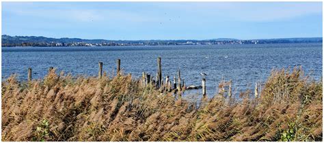 Bodensee Janos Zimmermann Flickr