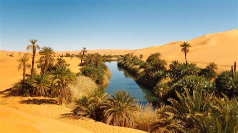 Los Oasis De Egipto Remansos De Frescor En Pleno Desierto Viajar