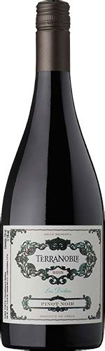 Terranoble Reserva Pinot Noir 2019 Mesa De Cata La CAV