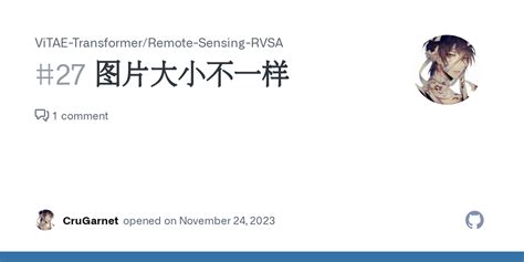 图片大小不一样 Issue 27 ViTAE Transformer Remote Sensing RVSA GitHub