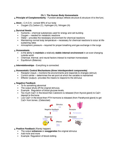 Exam 1 Physio Exam 1 Note Ch 1 The Human Body Homeostasis