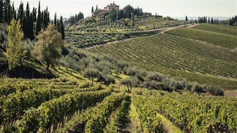 Chianti Classico Wine Region | Wine Folly