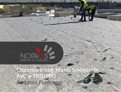 Coperture Con Manti Sintetici In Pvc E Tpo Fpo Capannone Industriale