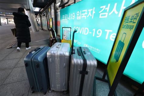 중국 한국인 비자발급 재개 준비이르면 주중 재개 네이트 뉴스