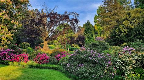 Arboretum Wojsławice z drona FPV