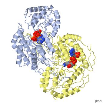 1ez0 Proteopedia Life In 3D