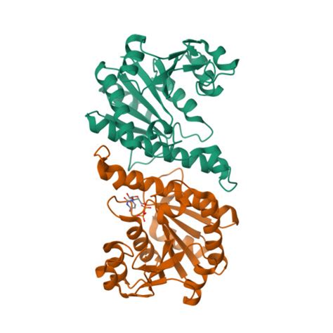 RCSB PDB 4A7X Crystal Structure Of Uridylate Kinase From