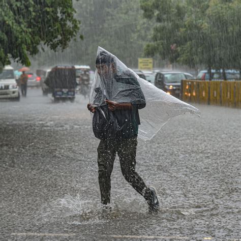 Bengal Weekly Rain Update কাল থেকে আগামী ৭ দিন ১১ জেলায় ভারী বৃষ্টির পূর্বাভাস West Bengal