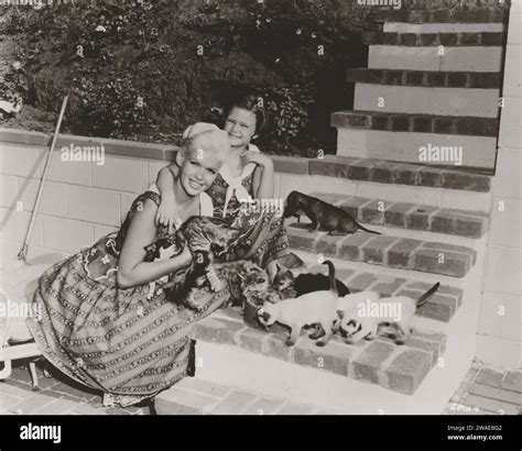 Jane Mansfield Portrait Photograph Candid Stock Photo Alamy