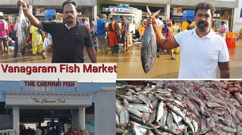 Vanagaram Fish Market🐠🐟🐠 Visit Youtube