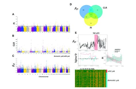 Genome Wide Selection Scan For Positively Selected Genes PSGs In