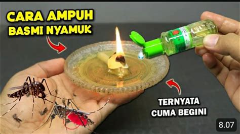 KENAPA BARU TAHU SEKARANG RUMAH BEBAS NYAMUK SELAMANYA DAN HARUM YouTube