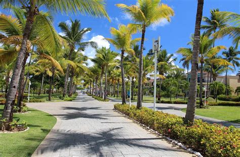 Paquetes Punta Cana Todo Incluido Viaje Punta Cana En Grupo Reducido