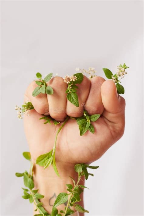 Mano Donna Natura E Pugno Con Le Foglie Per Una Battaglia Eco Guerriera