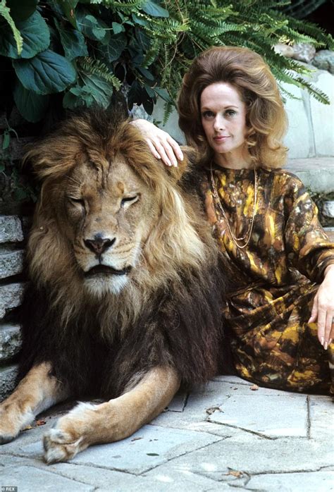 Hollywood Legend Tippi Hedren The Original Lion Queen Who Had An