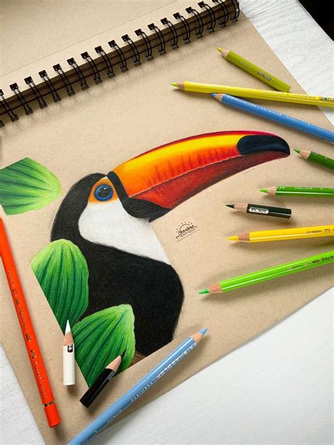 Charlene On Instagram Toucan Drawing Wip Hey Here Is A Work In