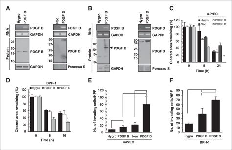 Figure 1 From Differential Tumorigenic Potential And Matriptase