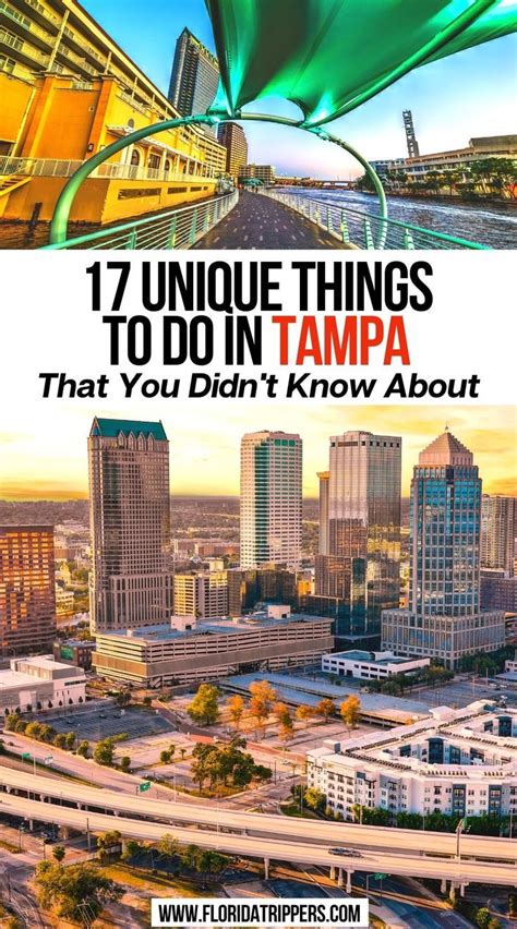 17 Unique Things To Do In Tampa That You Didn T Know About In 2022 Florida Travel Guide