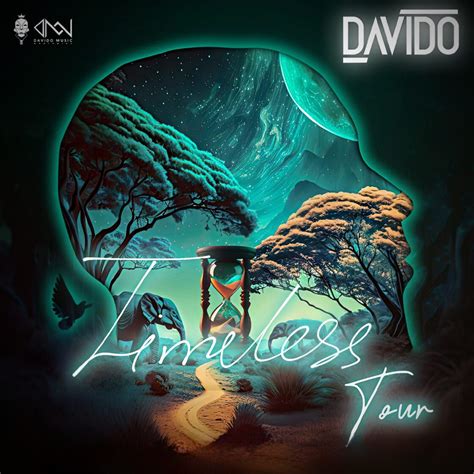 Davido Takes Center Stage At Msg Timeless Tour Expands To North