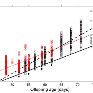The Effect Of Sex Ratio Manipulation White Litters Were Manipulated