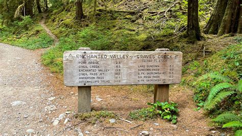 How to Hike the Incredible Enchanted Valley Trail in WA