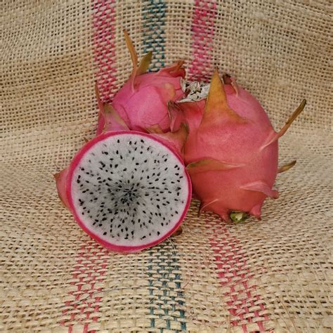 Georges White Dragon Fruit White Flesh Variety From Spicy Exotics