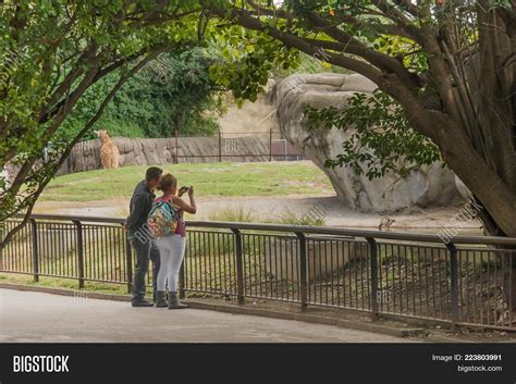 Chapultepec Zoo, Image & Photo (Free Trial) | Bigstock