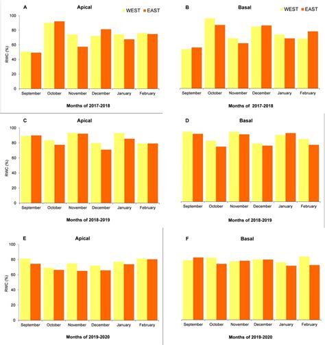 Relative Water Content Rwc Obtained From Leaves Belonging To Branches Download Scientific