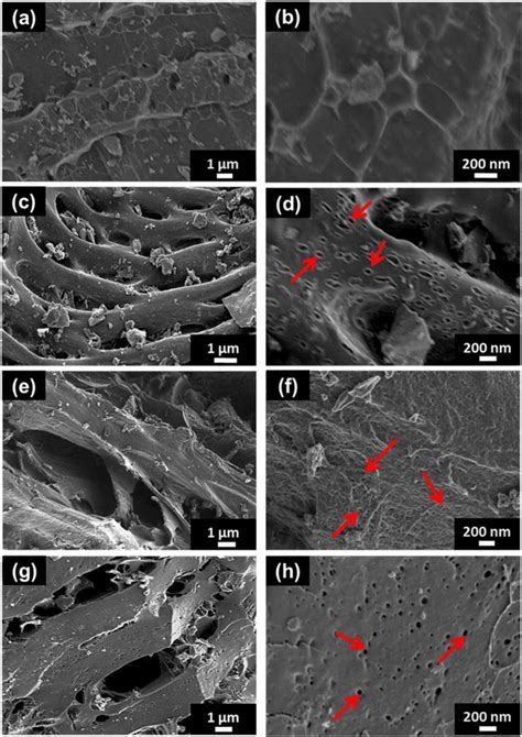 Sem Images At Low And High Magnification Of A B Cpsw C D Apsw Khco