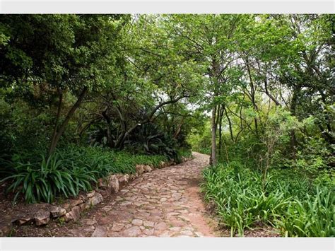 Nature Reserves Reopened Throughout Johannesburg Roodepoort Record