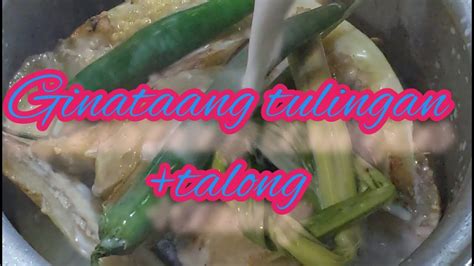 Ginataang Tulingan Talong Yummy Recipe Youtube