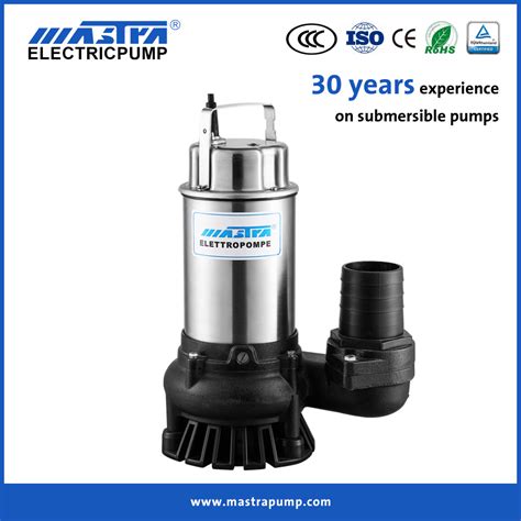 Mastra SS304 0 5HP 1HP Sewage Garden Mini Submersible Water Pump With