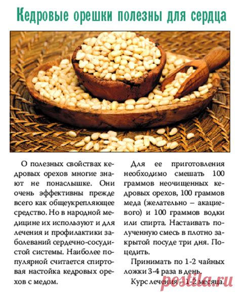 Кедровые орешки полезны для сердца | БОЛЯЧКИ: СЕРДЦЕ, СОСУДЫ | Постила