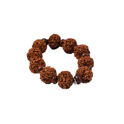 5 Mukhi Nepal Rudraksha Beads Bracelet Ii At Rudraksha