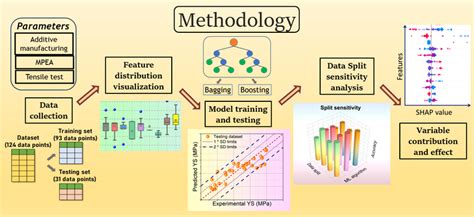 overview   methodology  scientific diagram