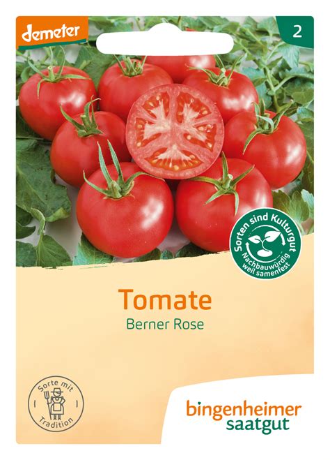 Bio Tomate Berner Rose 2 95