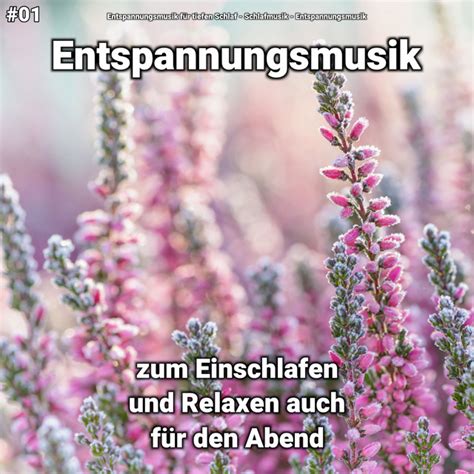 Musik Zum Einschlafen Song And Lyrics By Entspannungsmusik F R Tiefen