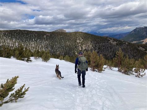 Body Of Missing Hiker Found In Colorado Mountains Davidson News